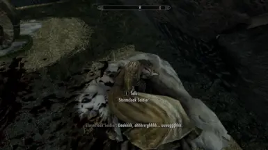 SkyrimSE 2016 11 23 20 40 03 145
