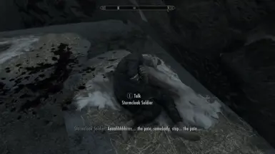 SkyrimSE 2016 11 23 20 40 53 469