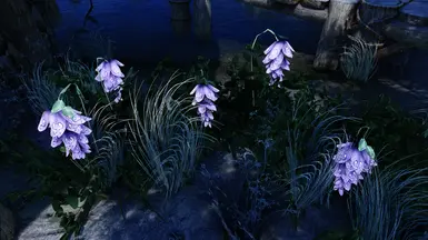 Mari's deathbell without Light - daytime