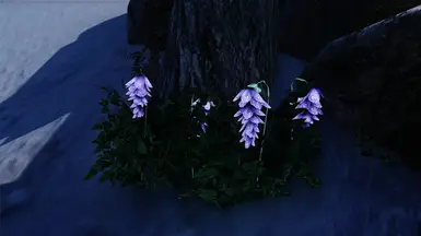 Mari's deathbell without Light - daytime