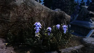 Fadingsignal's deathbell without Light