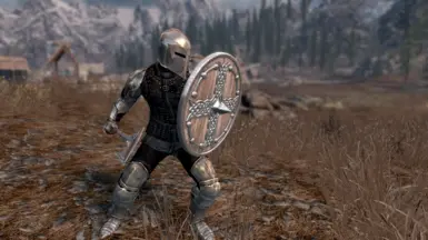 Select Shield Replacers at Skyrim Special Edition Nexus - Mods and ...