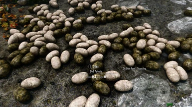 V 1.0 Potatoes