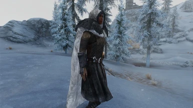 skyrim special edition winter is coming