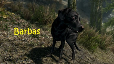 Black Barbas in the No DLCs animals version 1.2