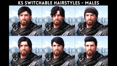 KS Switchable Hairstyles (Wigs) - Males