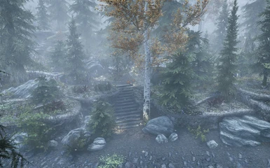 CD's True Forest of Riverwood Patch