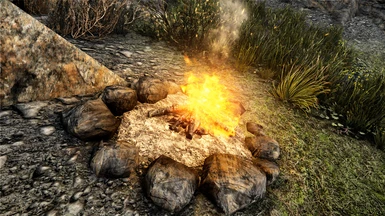 Regular Campfire