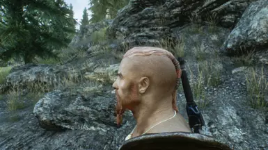 Yep its working for Oldrim LE