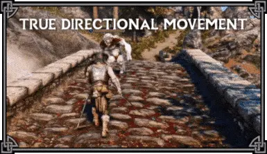 immersive movement fallout 4