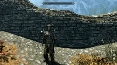 v.1.1
