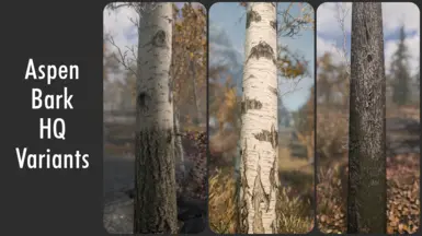 Aspen Bark HQ Variants - Parallaxed