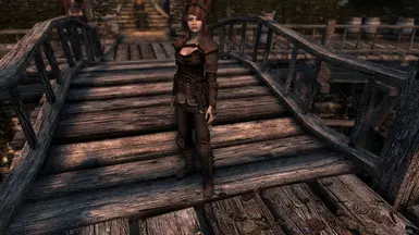 Nettie Silverfin - Breton Follower at Skyrim Special Edition Nexus ...