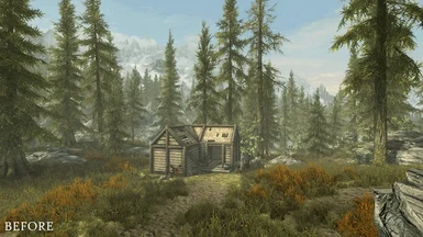 GIF Anisse Cabin