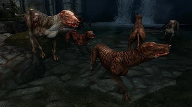 Skinned/Zombie Dogs