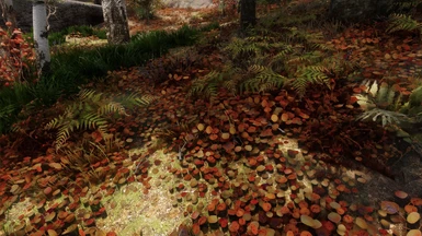 Fall Forest - StoneSpiralGaming