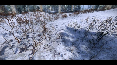 Snowy Forest - Warlock174