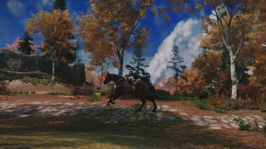 Animations from Skyrim Horse  Renewal