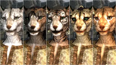 skyrim special edition total character makeover