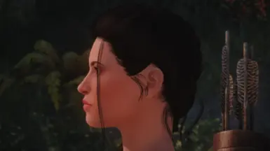 Lara Croft Haircut (Hat Morphs) at Starfield Nexus - Mods and Community