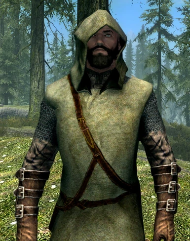 Green Traveler Armor and Links Trainee Tunic at Skyrim Special Edition  Nexus - Mods and Community