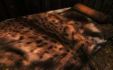 Even a simple bed seems so comfortable now Thanks