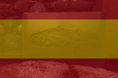 Fossil Mining SPANISH