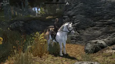 Unicorn option