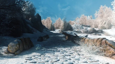 With Bjorn ENB and Reshade, EVLAS, and several flora/texture mods.