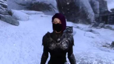 Erza Scarlet - Titania NPC Follower - BETA - at Skyrim Nexus - Mods and  Community