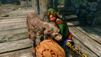 Twilight Princess Link always loved pets. (Hairstyle 2)