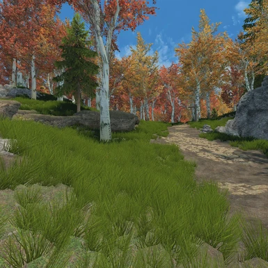 Ivarstead forest with Azurite Weathers + Sensorium ENB Lut disabled