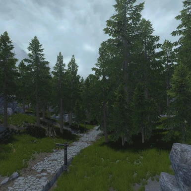 Falkreath forest with Azurite Weathers + Sensorium ENB Lut disabled