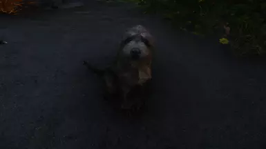Fluffworks (Quality) with ENB