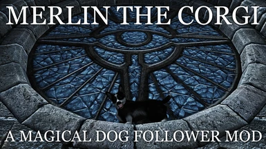 Merlin the Corgi - A Magical Dog Follower Mod