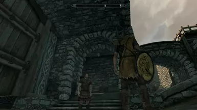 Level 1 Player VS. Level 20 Gaurd