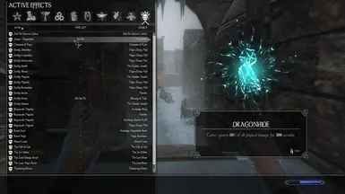Durable Dragonhide Spell