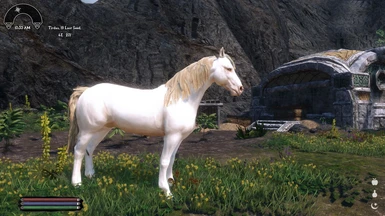 Optional Pale Mare with Golden Mane