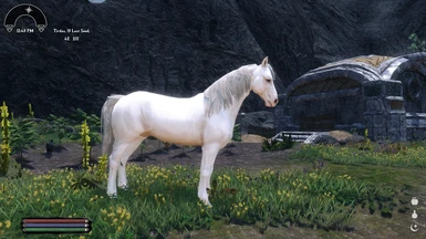 Optional Pale Mare as Frost