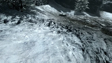 with SE's Snow Shader, without Parallax