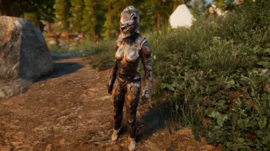 HD Reflective Ebony Armor and Weapons