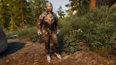 HD Reflective Ebony Armor and Weapons