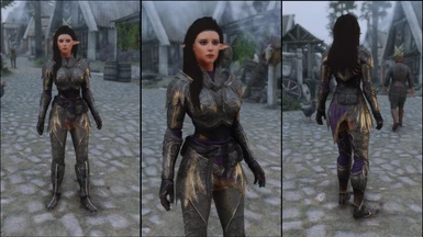Royal Elven Armor Set at Skyrim Special Edition Nexus - Mods and Community
