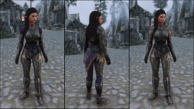 Royal Elven Armor Set with pants