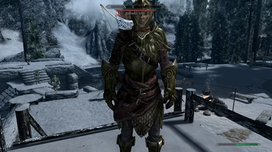 NPCs like Thalmor that wear Elven armour will only spawn with their vanilla equipment or the Alternative Armour equivelent (no Thalmor wearing Steel or Orcish AA stuff)
