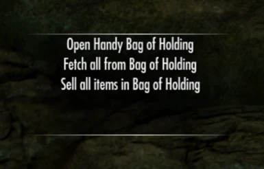 v3.0 Handy Bag of Holding Main Menu