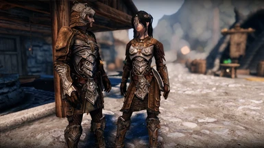 Nordic Leather Armor at Special Edition Nexus - Mods Community