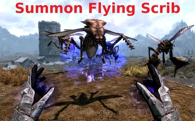 Summon Flying Scrib