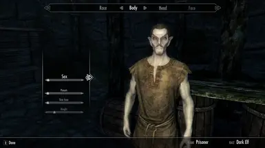 Dark Elf (Male)