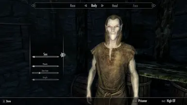 High Elf (Male)